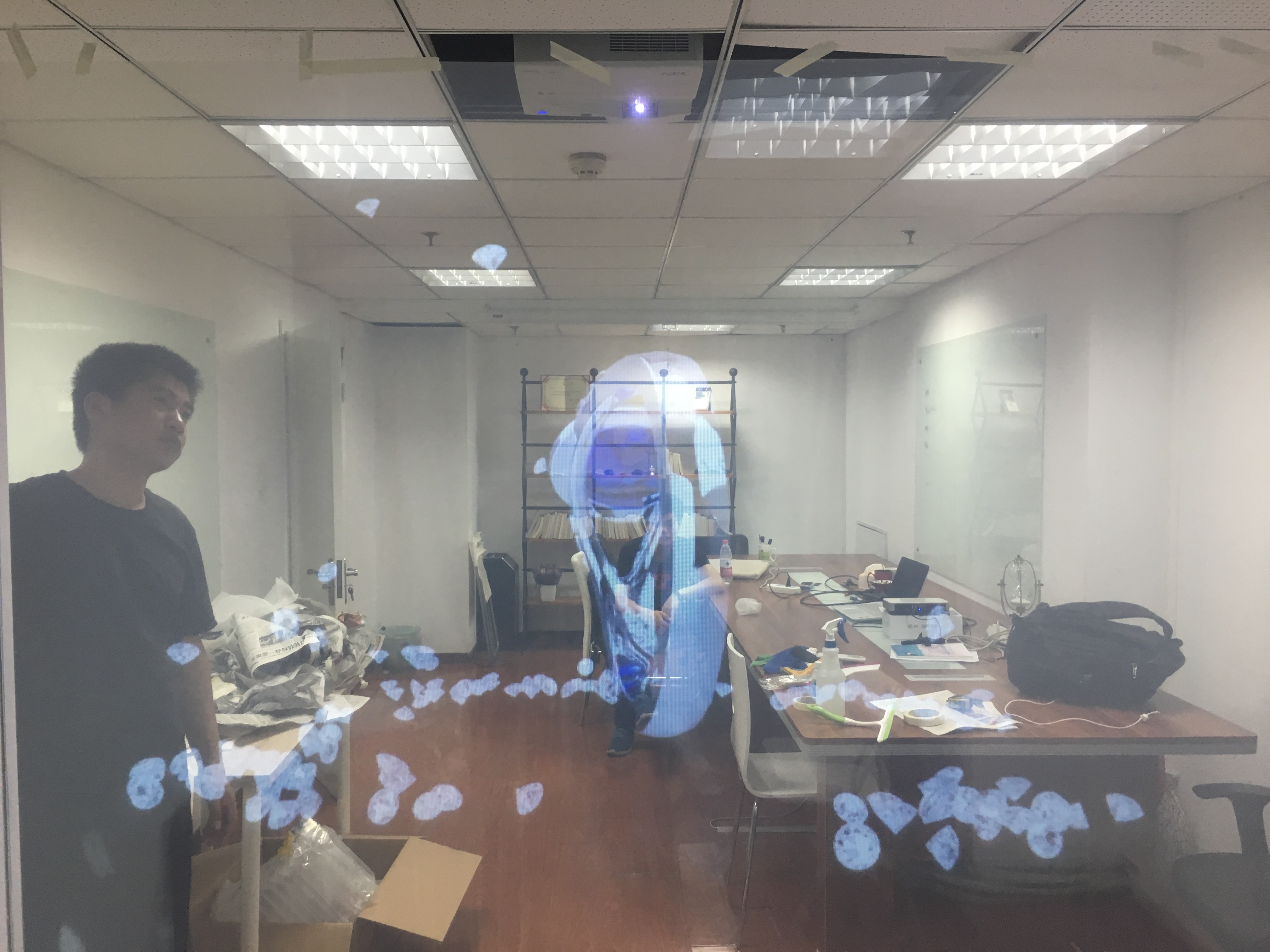 Голографическая проекция